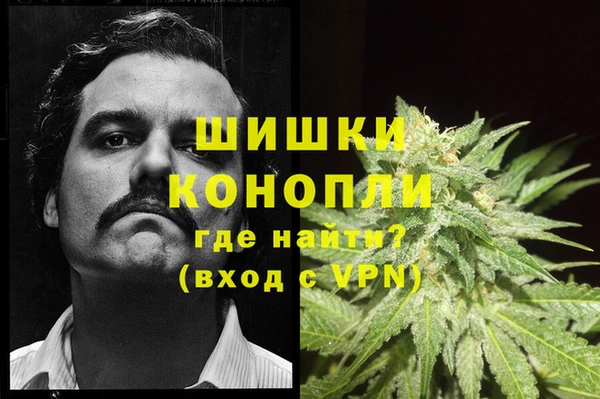 сатива Богданович