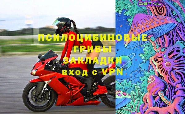 сатива Богданович